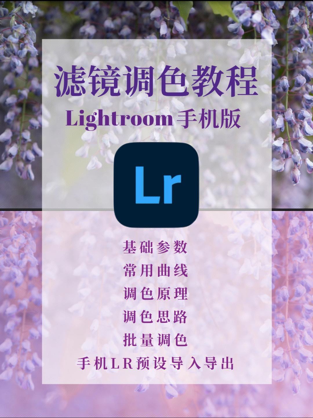 lr手机版收费lightroom下载官网